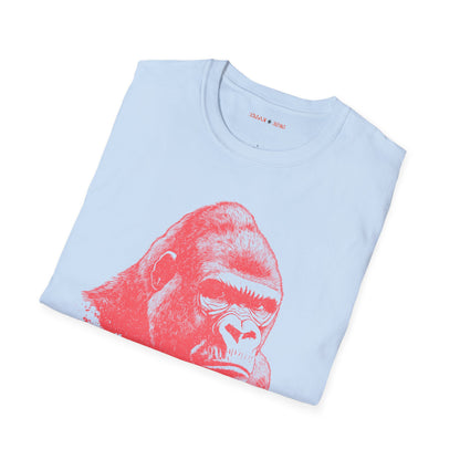 Copy of Alpha Look
