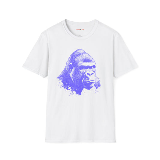 Copy of Alpha Look