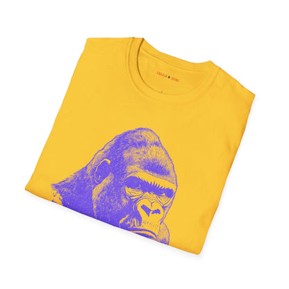 Copy of Alpha Look