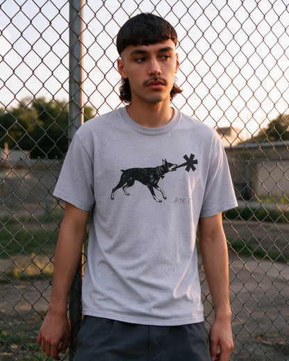 Dober Bite T-Shirt in Sport Grey worn on the street — Urban Kong
