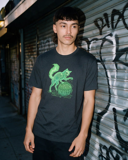 Phantom Cat T-Shirt in Dark Heather worn on the street — Urban Kong