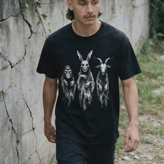 Three Spirits T-Shirt on-model video — Urban Kong