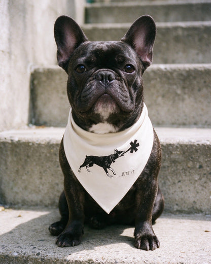 Dober Bite Pet Bandana in use — Urban Kong