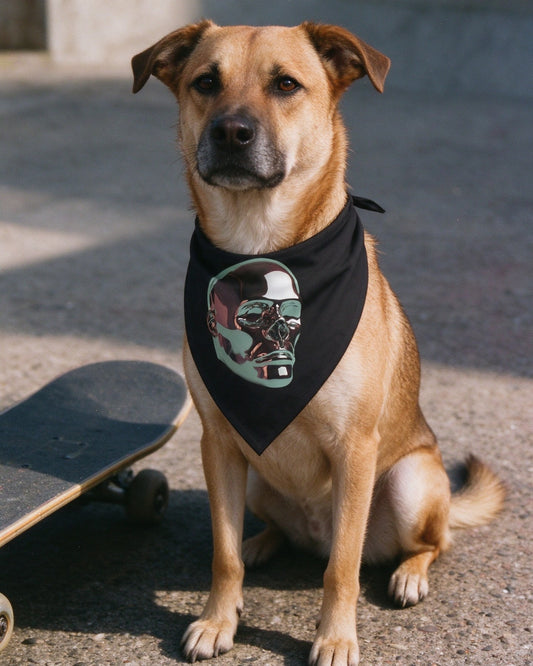 Forged for Glory Pet Bandana in use — Urban Kong