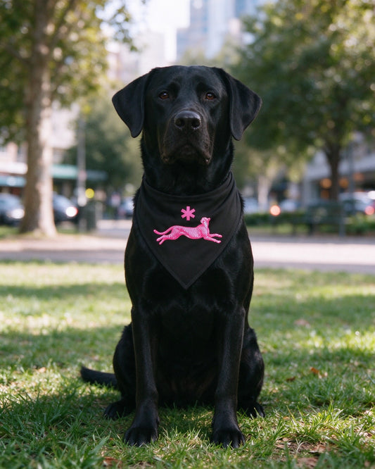 Neon Leopard Pet Bandana in use — Urban Kong