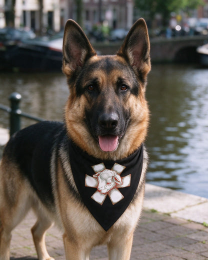 Wild Lamb Pet Bandana in use — Urban Kong