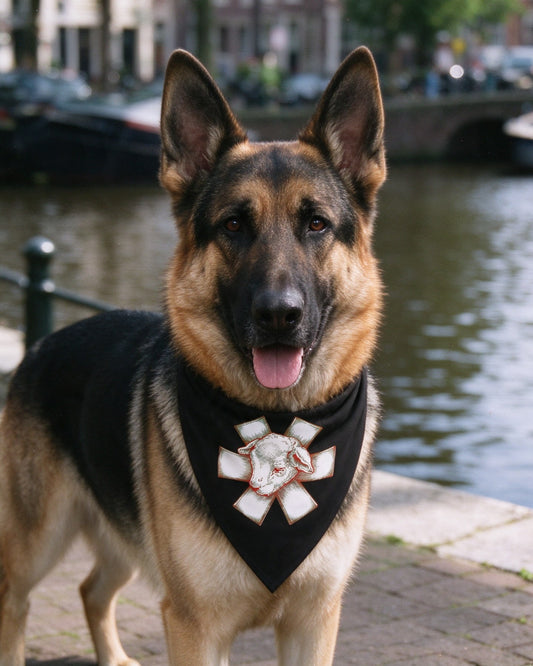 Wild Lamb Pet Bandana in use — Urban Kong